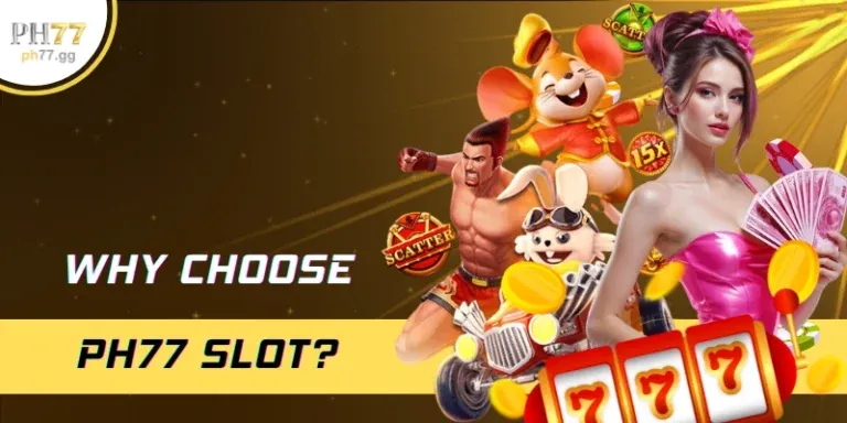 Hệ thống bảo mật 33WIM