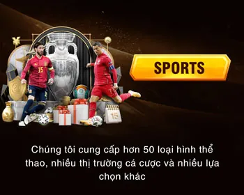 Tổng quan về quản lý tài khoản 33wim